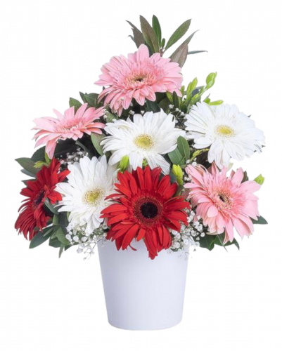 Gerbera Aranjman