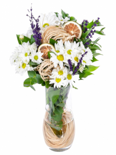 Vazoda Papatya ve Lavantalar