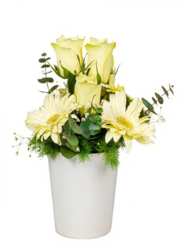 Seramikte Beyaz Güzellik