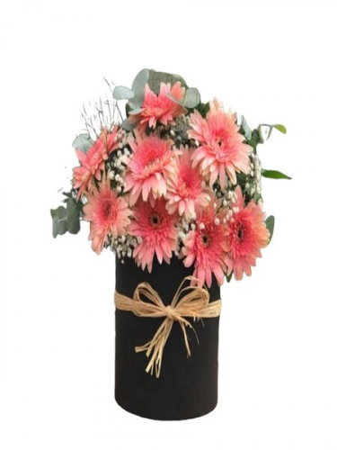 Kutuda Pembe Gerberalar