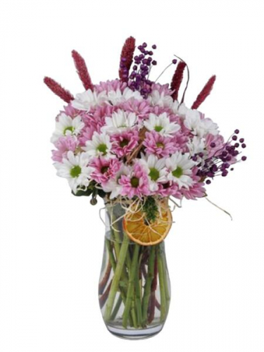 Vazoda Pembe Beyaz Papatyalar