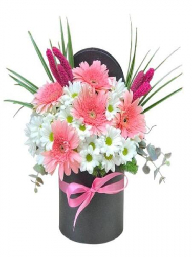 Kutuda Beyaz Papatya 