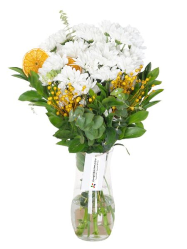 Vazoda Beyaz Papatyalar