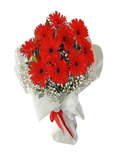 Kırmızı Gerbera Buket